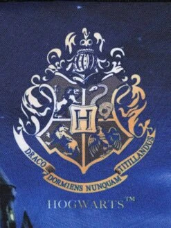 Cartable Harry Potter Château De Poudlard 38 Cm 18 Cartable Harry Potter Château De Poudlard 38 Cm -Sac et Style Boutique cartables scolaires dessins animes 866679z