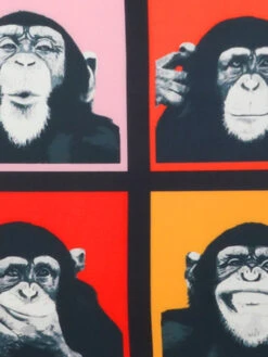 Housse De Valise Periea Monkey XL -Sac et Style Boutique housse valise periea 876135z