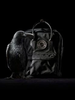 FJÄLLRÄVEN Sac à Dos Fjällräven Kanken N°2 Mini Black 35 FJÄLLRÄVEN Sac à Dos Fjällräven Kanken N°2 Mini Black -Sac et Style Boutique sac dos fjallraven 799924z