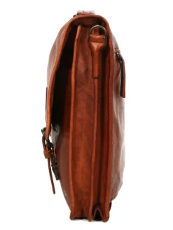 Cartable Ordinateur Bear Design Cow Lavato Guus 15.6 Pouces 24 Cartable Ordinateur Bear Design Cow Lavato Guus 15.6 Pouces -Sac et Style Boutique sac ordinateur bear design 881351z