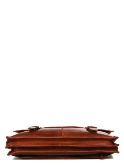 Cartable Ordinateur Bear Design Cow Lavato Guus 15.6 Pouces 27 Cartable Ordinateur Bear Design Cow Lavato Guus 15.6 Pouces -Sac et Style Boutique sac ordinateur bear design 881357z